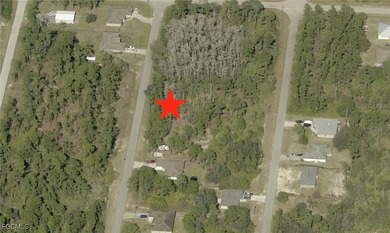Lehigh Acres Area Lot For Sale in Alva Florida