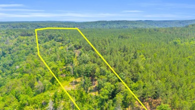 Lake Acreage Sale Pending in Soddy Daisy, Tennessee