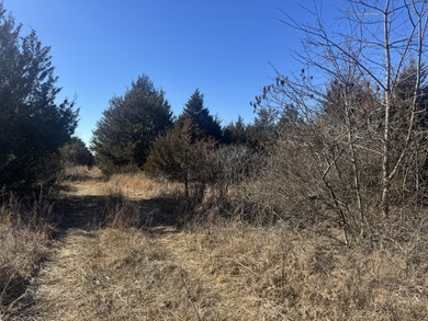 Stockton Lake Acreage Sale Pending in Arcola Missouri