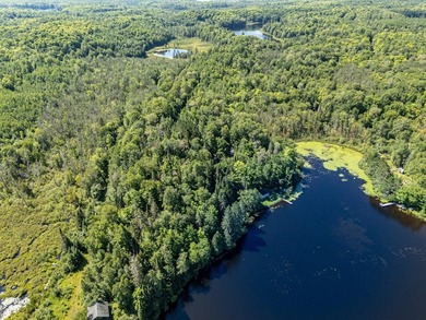 Explore your own secluded lakeside getaway! Situated on 6.5 - photo 1
