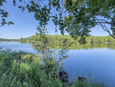 Explore your own secluded lakeside getaway! Situated on 6.5 - photo 4