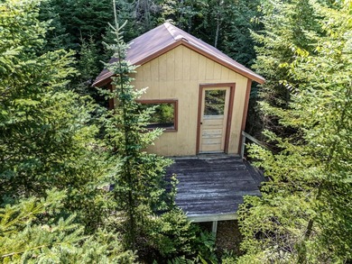 Explore your own secluded lakeside getaway! Situated on 6.5 - photo 7