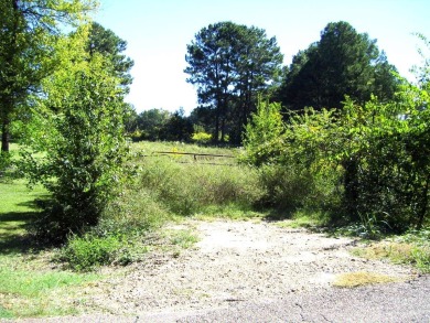 (private lake, pond, creek) Acreage For Sale in Ashdown Arkansas