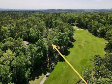 Lake Balboa Lot For Sale in Hot Springs Village Arkansas