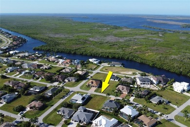 Cape Coral Area Lot Sale Pending in Cape Coral Florida