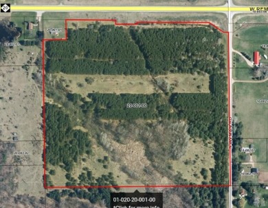 Lake Acreage Off Market in Remus, Michigan