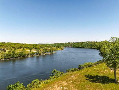 An opportunity to own an incredible piece of the Ozarks!! Some - photo 11