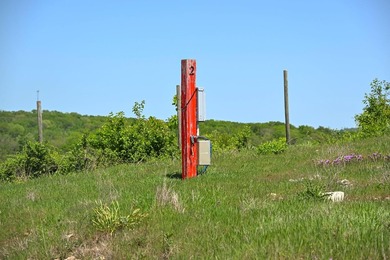 An opportunity to own an incredible piece of the Ozarks!! Some - photo 15