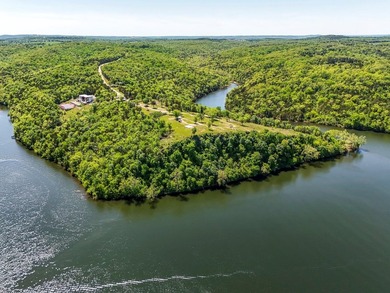 An opportunity to own an incredible piece of the Ozarks!! Some - photo 16