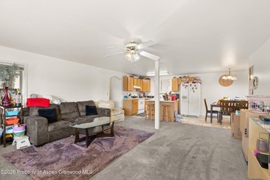 Welcome to 4600 County Road 154, a rare multi-family mountain - photo 17