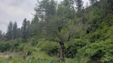 (private lake, pond, creek) Acreage For Sale in Kamiah Idaho