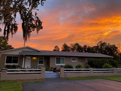 (private lake, pond, coastal) Home For Sale in Christmas Florida