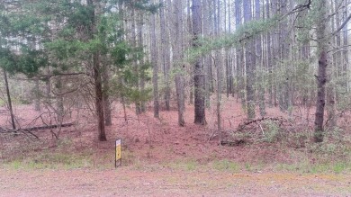 Great Wicomico River Lot For Sale in Heathsville Virginia