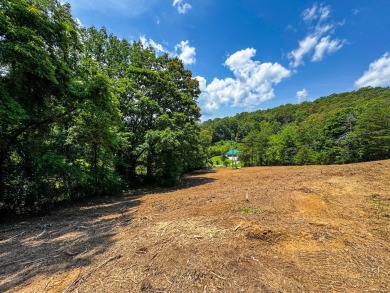 Lake Lot For Sale in Rocky Top, Tennessee