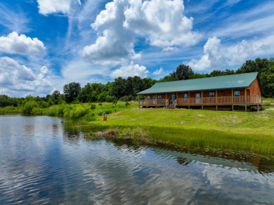 (private lake, pond, creek) Home For Sale in Collins Missouri