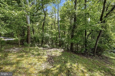 Tucked into a peaceful, cabin-style setting near the Shenandoah - photo 43