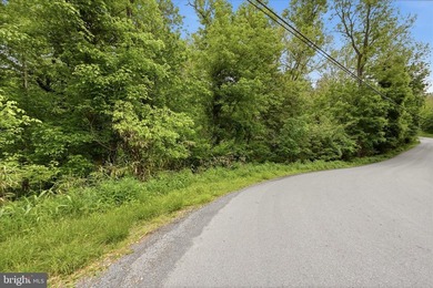 Tucked into a peaceful, cabin-style setting near the Shenandoah - photo 45