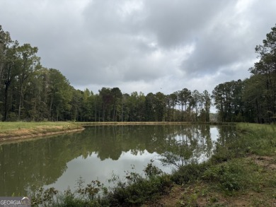 Lake Acreage For Sale in Box Springs, Georgia