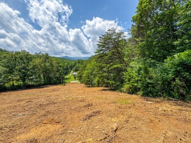 Lake Lot For Sale in Rocky Top, Tennessee