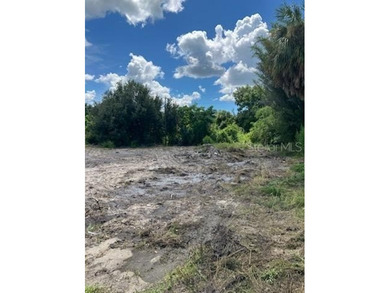 PRICE DROP!!! Beautiful lot recently cleared from a damaged home - photo 3