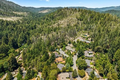 Elegance and Beauty abound in this spacious, private, and - photo 28