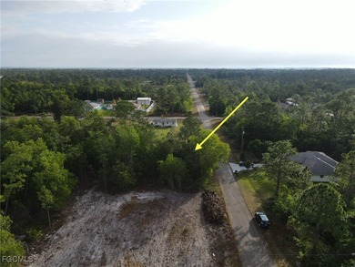 Lehigh Acres Area Lot For Sale in Lehigh Acres Florida