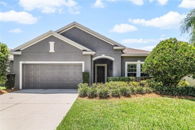 Lake Home Sale Pending in Groveland, Florida