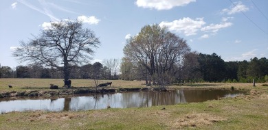 Lake Acreage For Sale in Edgefield, South Carolina