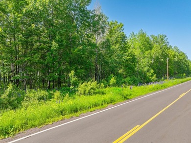 17 acres and panoramic views of Lake Superior just down the - photo 10