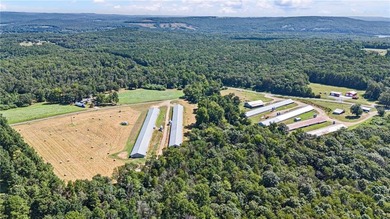 Greers Ferry Lake Home For Sale in Clinton Arkansas