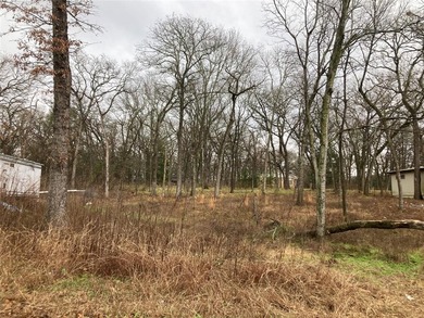 Cedar Creek Lake Lot For Sale in Kemp Texas