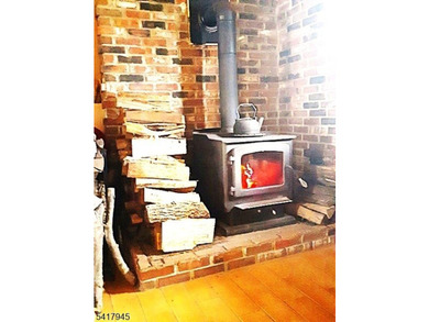 Charming raised ranch on a large, level lot backing to beautiful - photo 10