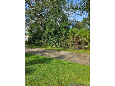 (private lake, pond, coastal) Lot For Sale in Springfield Louisiana