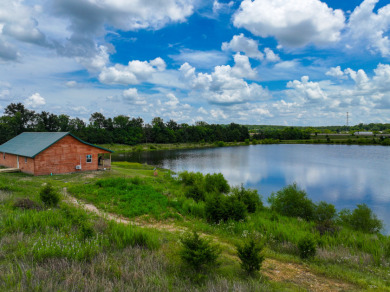Collins Missouri Lake Home For Sale - photo 3