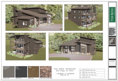 Toccoa River - Fannin County Home For Sale in Blue Ridge Georgia