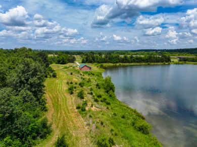 Collins Missouri Lake Home For Sale - photo 27