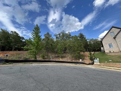 Don't miss your chance to build in Osage Terrace! This - photo 1