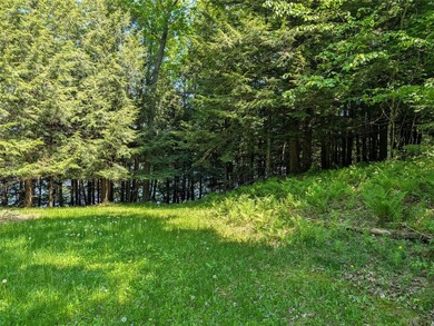 Welcome to your future property located at Otter Lake just north - photo 15