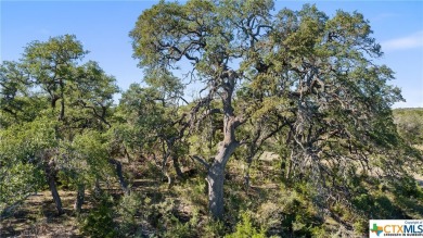 UNRESTRICTED, this ranch consists of 72+ acres (2 tracts) 1