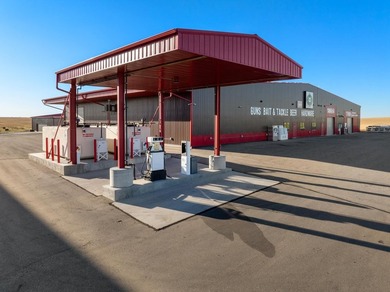 Prime Commercial Opportunity: HWY 83 Lawn & Leisure Discover a - photo 33