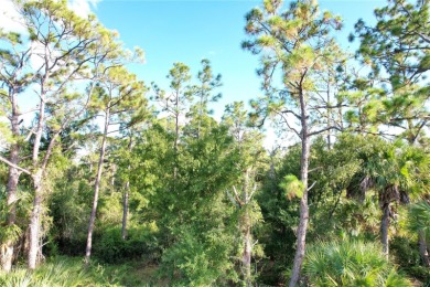 Buy and build or invest and wait. Location is close to Highway - photo 6