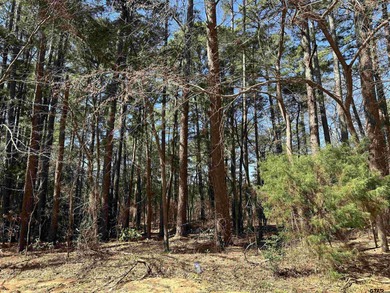 Lake Palestine Lot For Sale in Bullard Texas