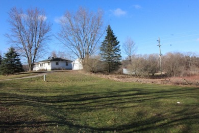 (private lake, pond, creek) Home For Sale in Big Rapids Michigan
