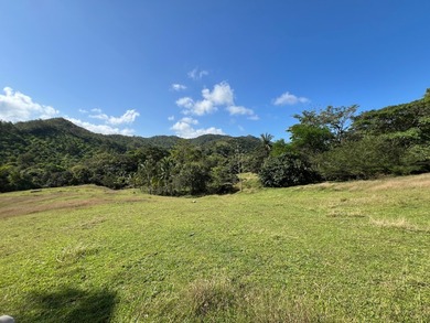 Large Scale Development Land in Chepo Panama 

Riverfront Land o - photo 8
