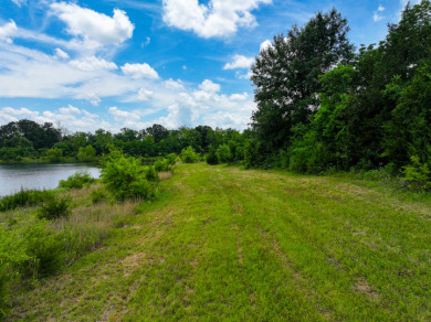 Collins Missouri Lake Home For Sale - photo 7