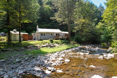 Lake Home For Sale in East Branch, New York
