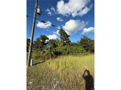 Lehigh Acres Area Lot For Sale in Lehigh Acres Florida