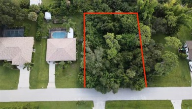 Port Charlotte Waterway Lakes Area Lot Sale Pending in Port Charlotte Florida