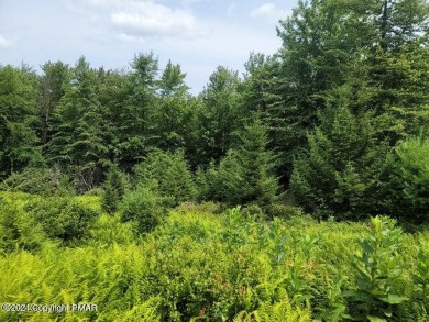 (private lake, pond, creek) Lot For Sale in Long Pond Pennsylvania
