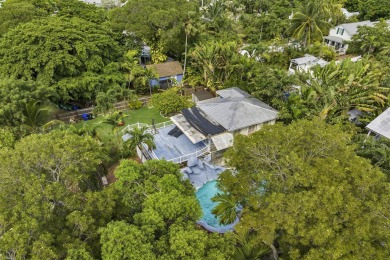 Unique and extraordinary triple (3) lot property located in Old - photo 3